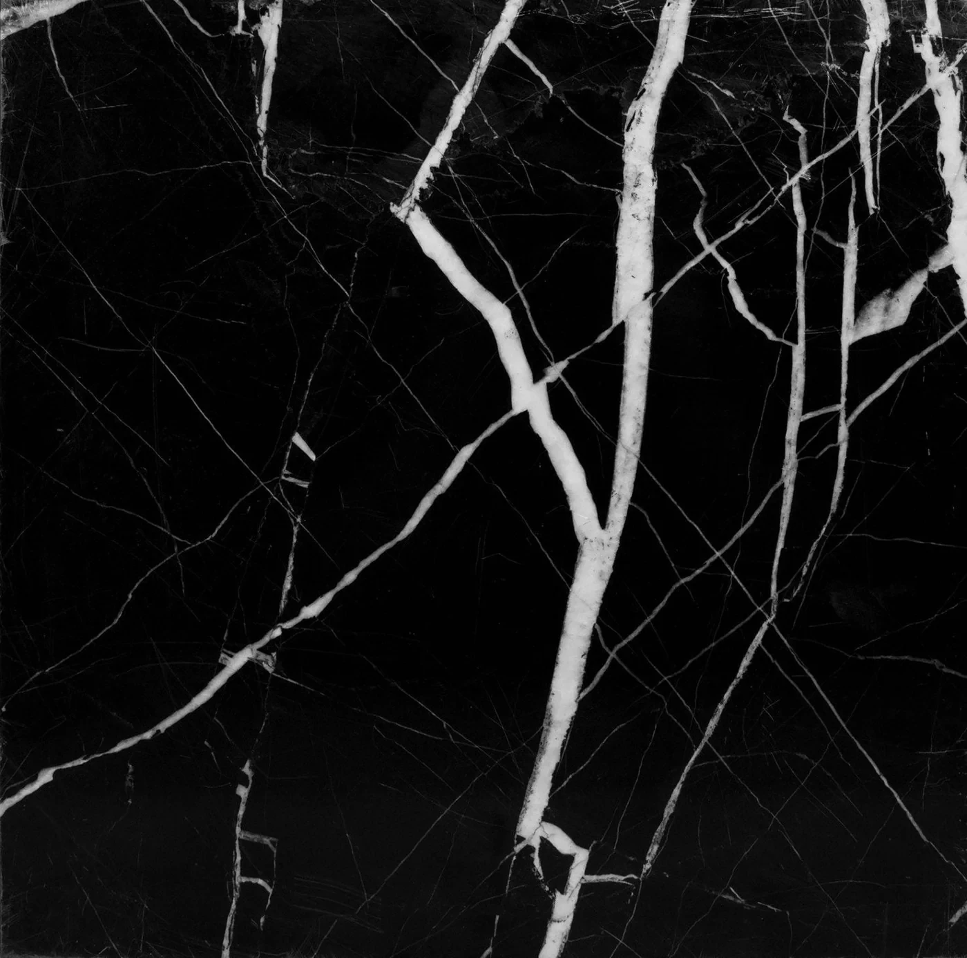 NERO-BLACK-MARAQUINA